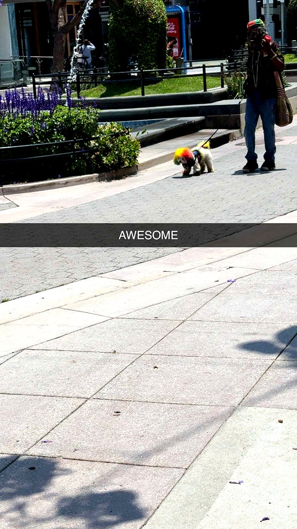 cclaire.bbear1 snapchat image archive image
