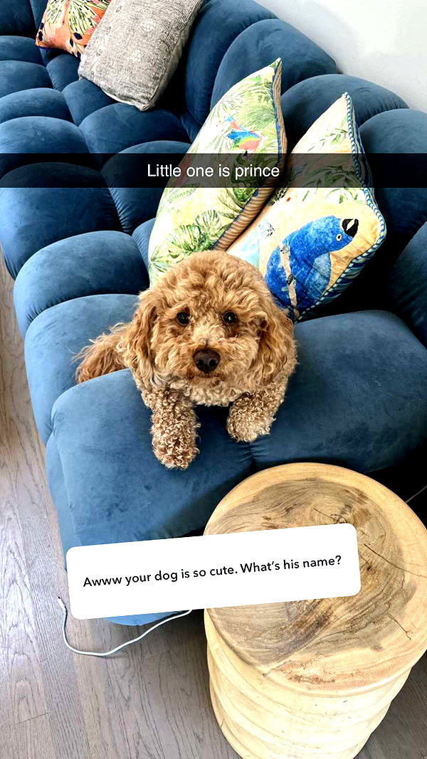 cclaire.bbear1 snapchat image archive image