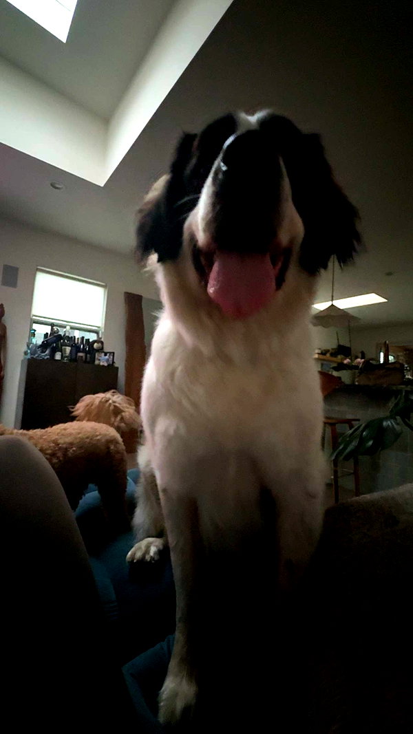 cclaire.bbear1 snapchat image archive image