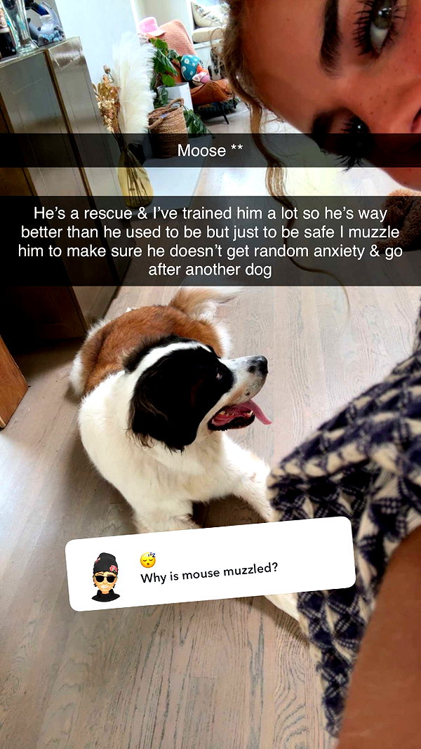 cclaire.bbear1 snapchat image archive image