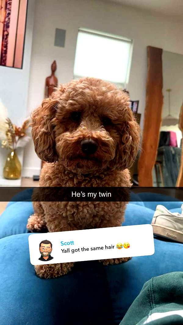 cclaire.bbear1 snapchat image archive image