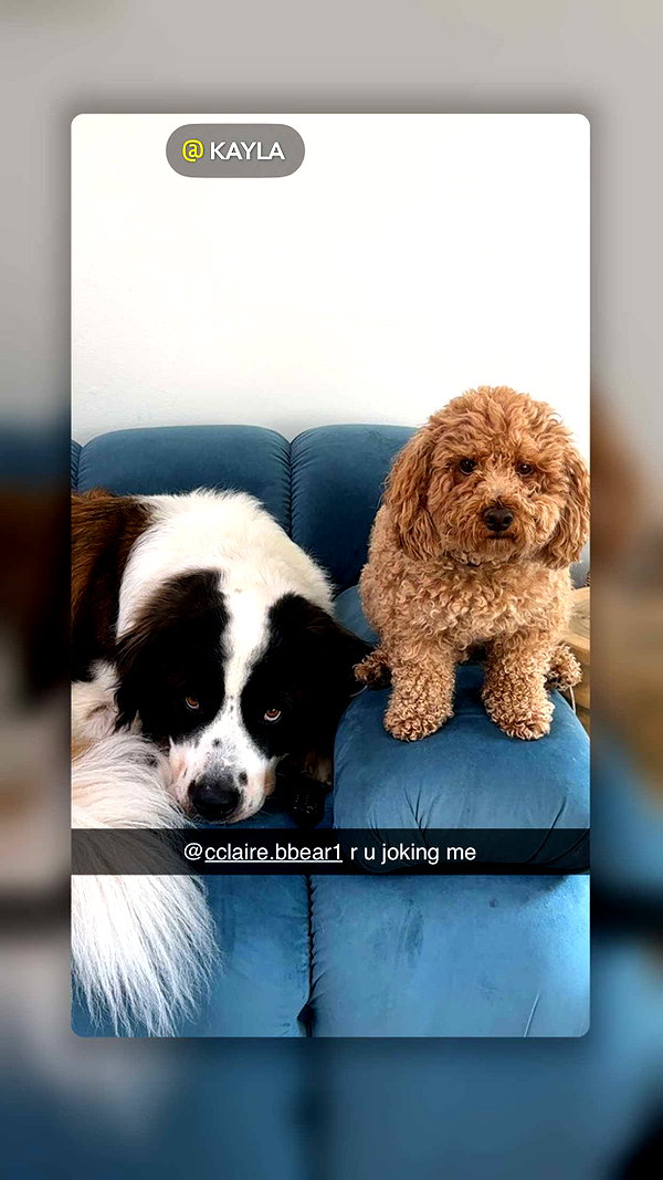 cclaire.bbear1 snapchat image archive image