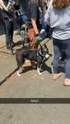 cclaire.bbear1 Altpins Profile Picture