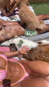 cclaire.bbear1 Altpins Profile Picture