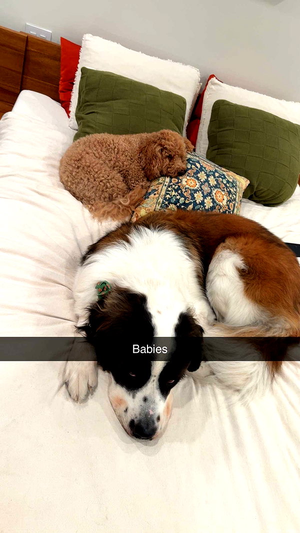 cclaire.bbear1 snapchat image archive image
