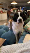 cclaire.bbear1 Altpins Profile Picture