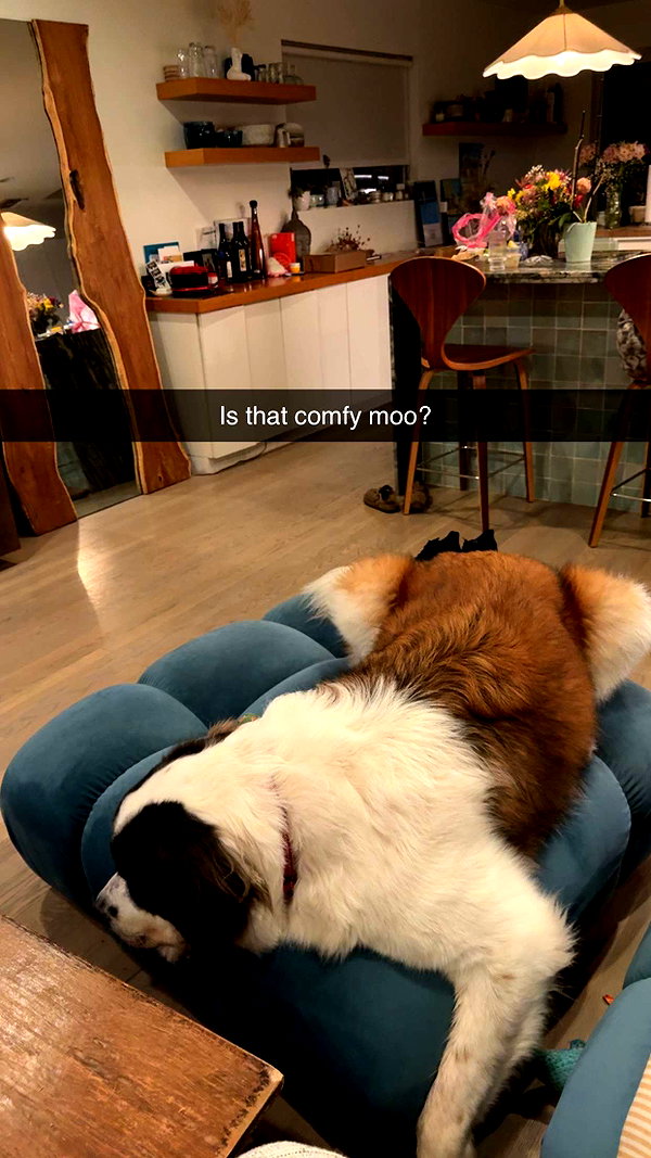 cclaire.bbear1 snapchat image archive image