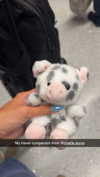 cclaire.bbear1 Altpins Profile Picture