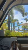 cclaire.bbear1 Altpins Profile Picture