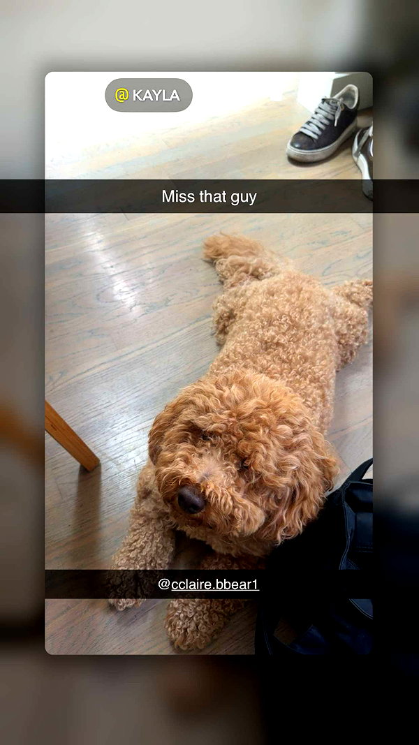 cclaire.bbear1 snapchat image archive image