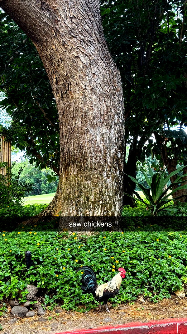 cclaire.bbear1 snapchat image archive image
