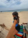 cclaire.bbear1 Altpins Profile Picture