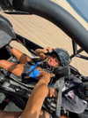 cclaire.bbear1 Altpins Profile Picture