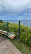 cclaire.bbear1 Altpins Profile Picture