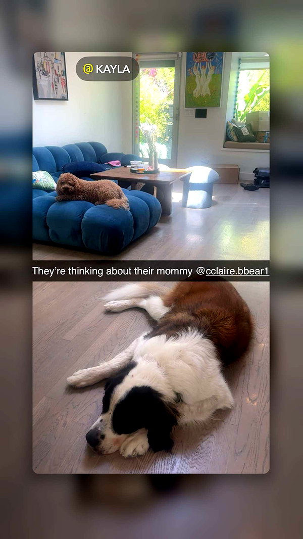 cclaire.bbear1 snapchat image archive image