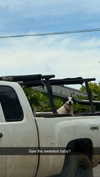cclaire.bbear1 Altpins Profile Picture
