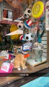 cclaire.bbear1 Altpins Profile Picture