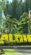 cclaire.bbear1 Altpins Profile Picture
