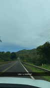 cclaire.bbear1 Altpins Profile Picture