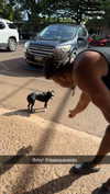 cclaire.bbear1 Altpins Profile Picture