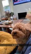 cclaire.bbear1 Altpins Profile Picture