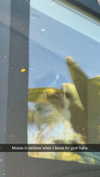 cclaire.bbear1 Altpins Profile Picture