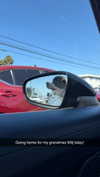 cclaire.bbear1 Altpins Profile Picture