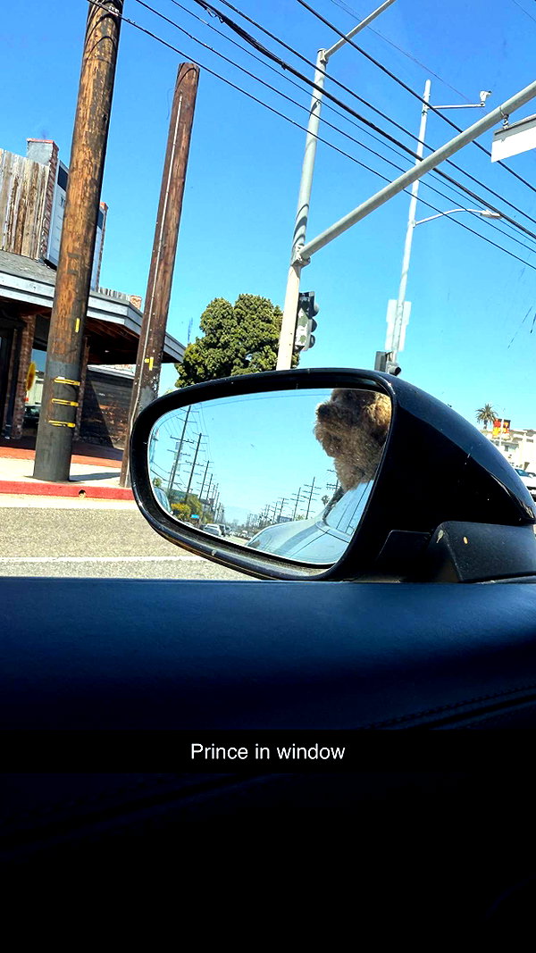 cclaire.bbear1 snapchat image archive image