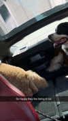 cclaire.bbear1 Altpins Profile Picture