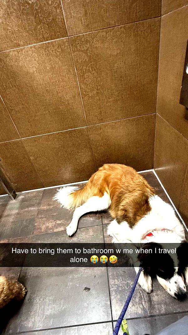cclaire.bbear1 snapchat image archive image