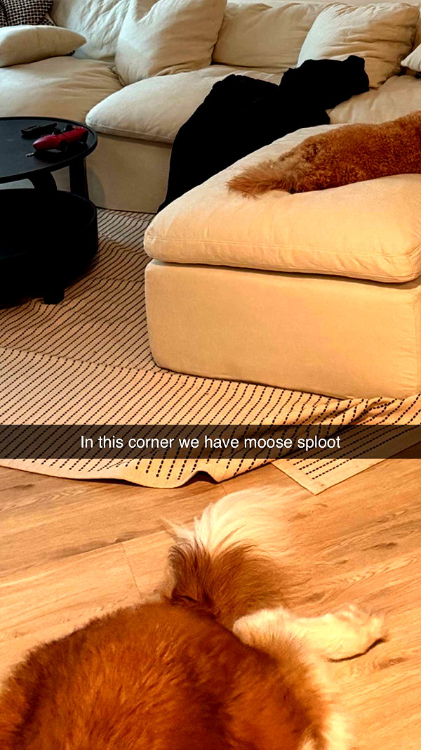 cclaire.bbear1 snapchat image archive image
