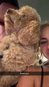 cclaire.bbear1 Altpins Profile Picture