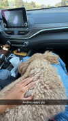 cclaire.bbear1 Altpins Profile Picture