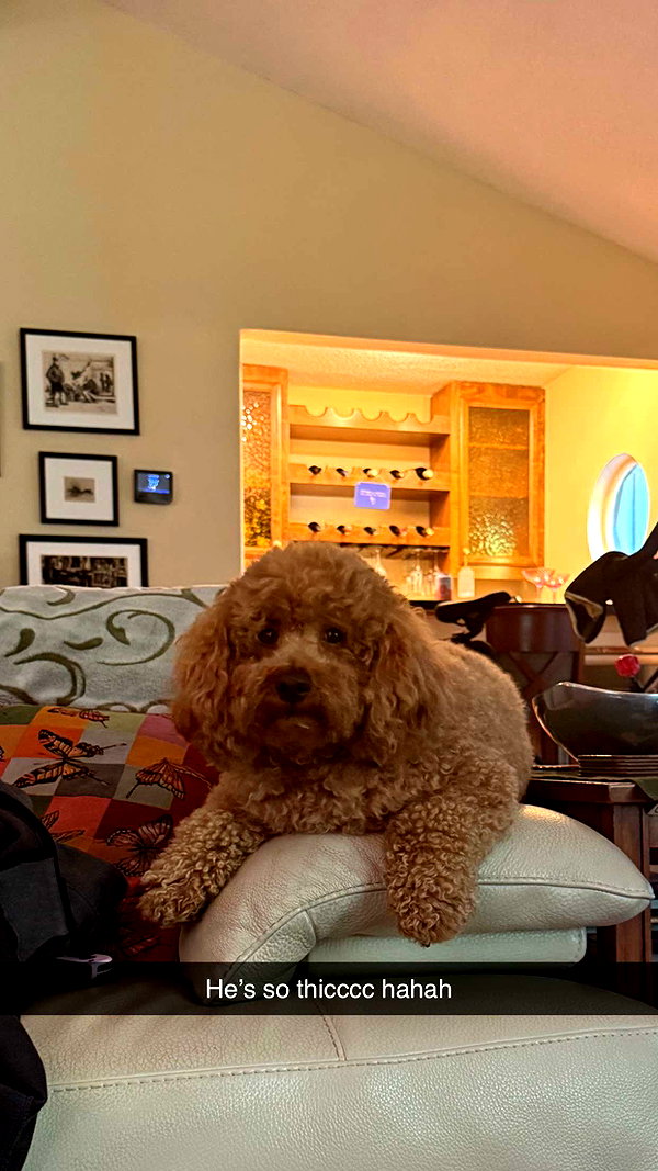 cclaire.bbear1 snapchat image archive image