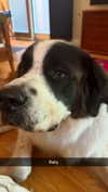 cclaire.bbear1 Altpins Profile Picture