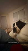 cclaire.bbear1 Altpins Profile Picture