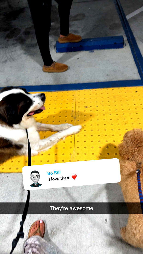 cclaire.bbear1 snapchat image archive image
