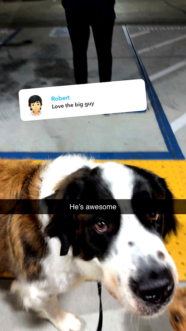 cclaire.bbear1 snapchat image archive image