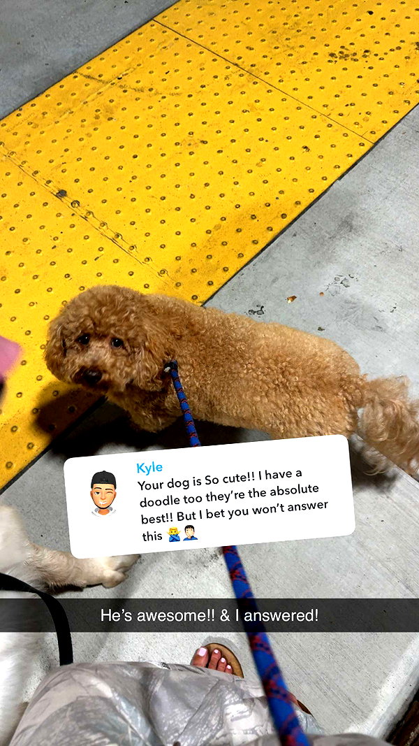 cclaire.bbear1 snapchat image archive image