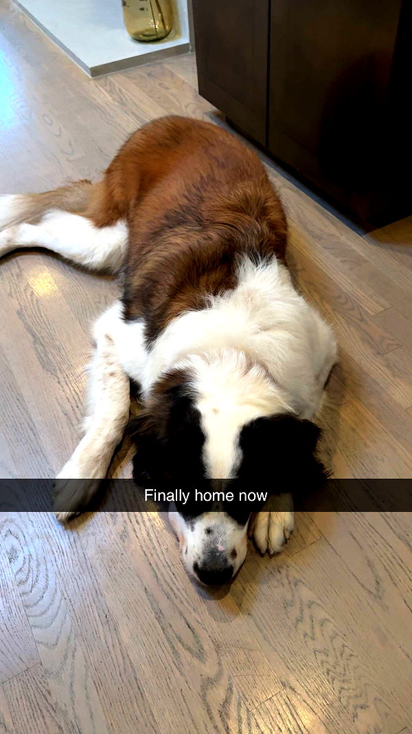 cclaire.bbear1 snapchat image archive image