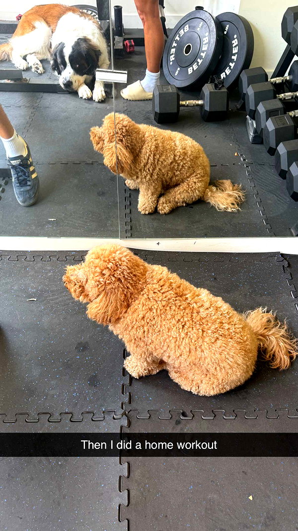 cclaire.bbear1 snapchat image archive image