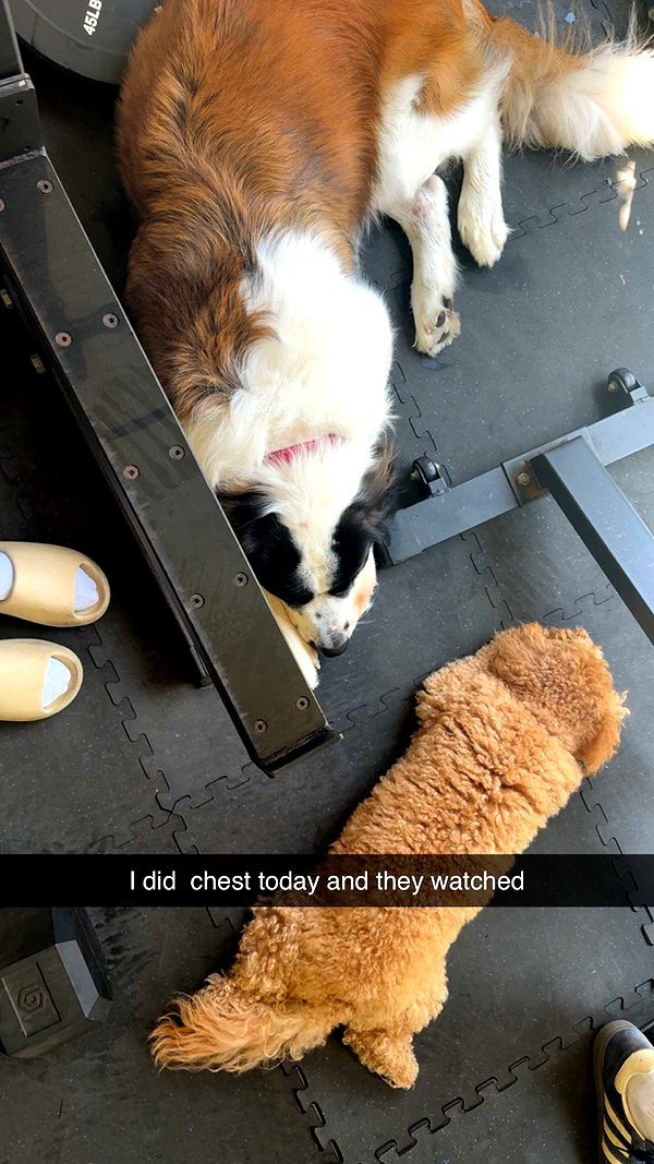 cclaire.bbear1 snapchat image archive image