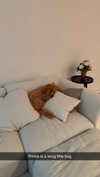 cclaire.bbear1 Altpins Profile Picture