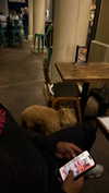 cclaire.bbear1 Altpins Profile Picture