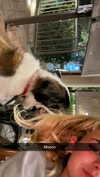 cclaire.bbear1 Altpins Profile Picture
