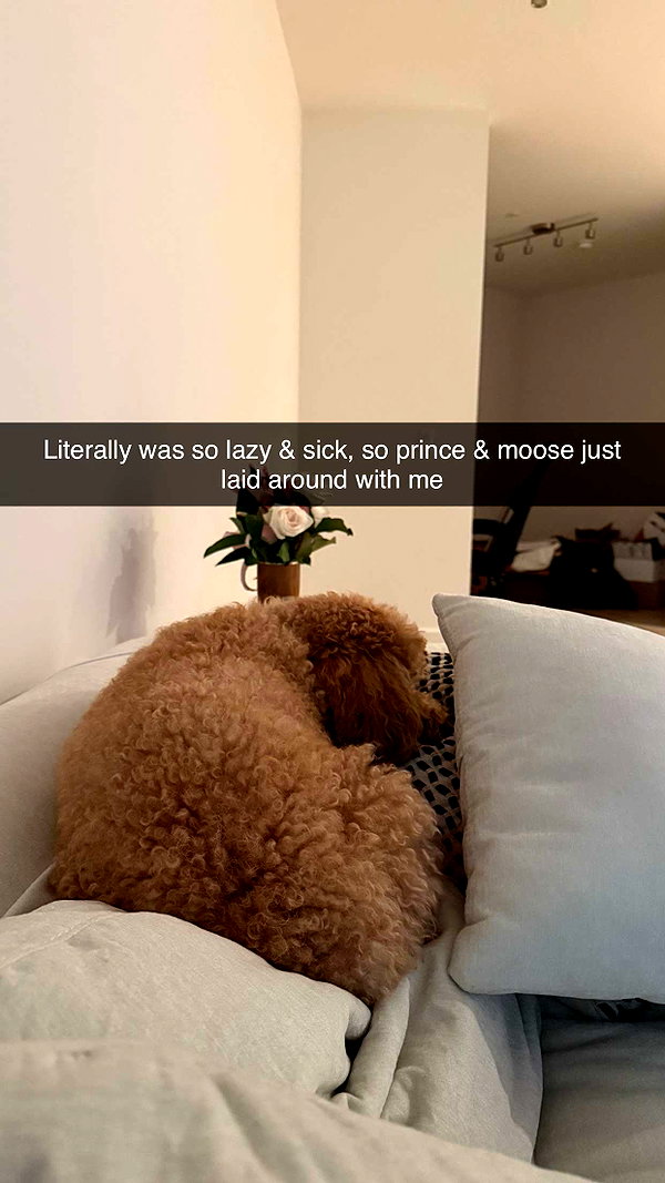 cclaire.bbear1 snapchat image archive image