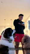 cclaire.bbear1 Altpins Profile Picture