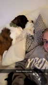 cclaire.bbear1 Altpins Profile Picture