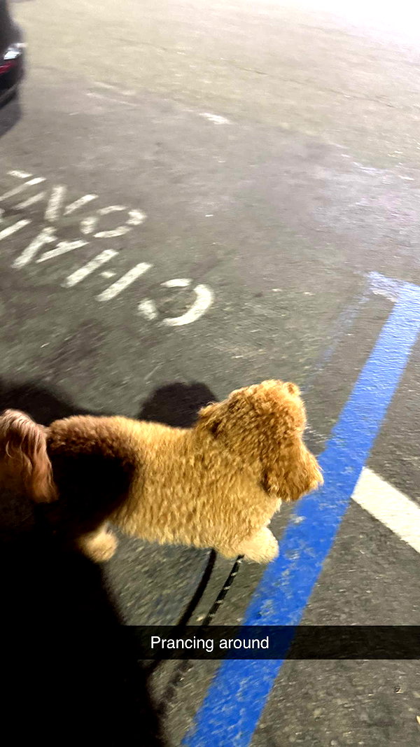 cclaire.bbear1 snapchat image archive image