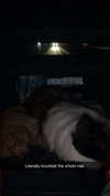 cclaire.bbear1 Altpins Profile Picture